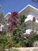 Our apartments are situated in a beautiful garden area
